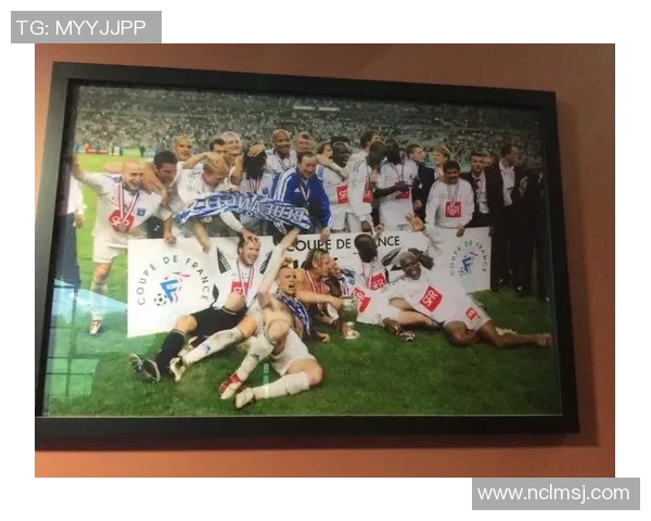 南湖足球明星阵容全景展示与精彩瞬间回顾